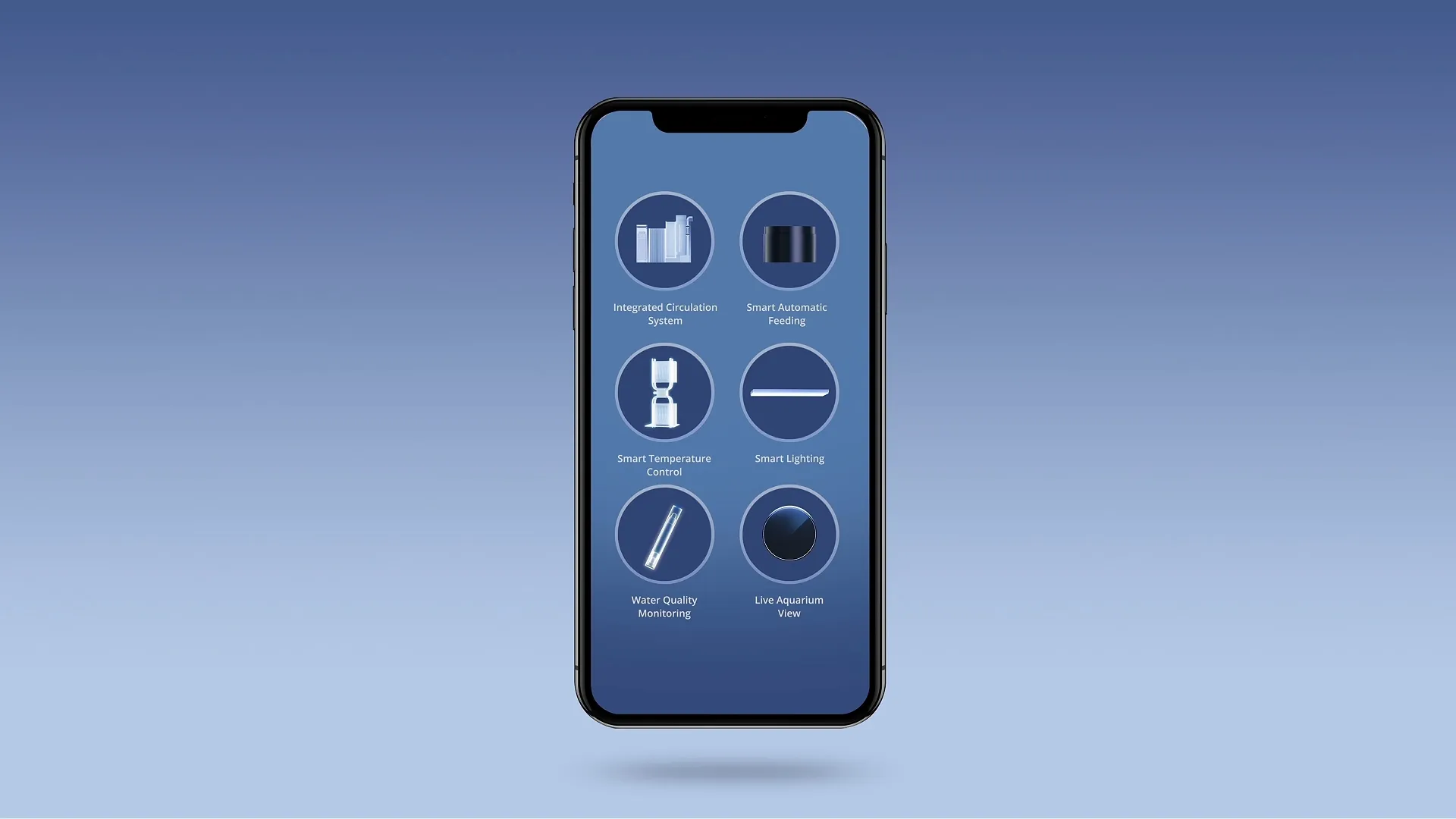 Vibrant clownfish in coral reef